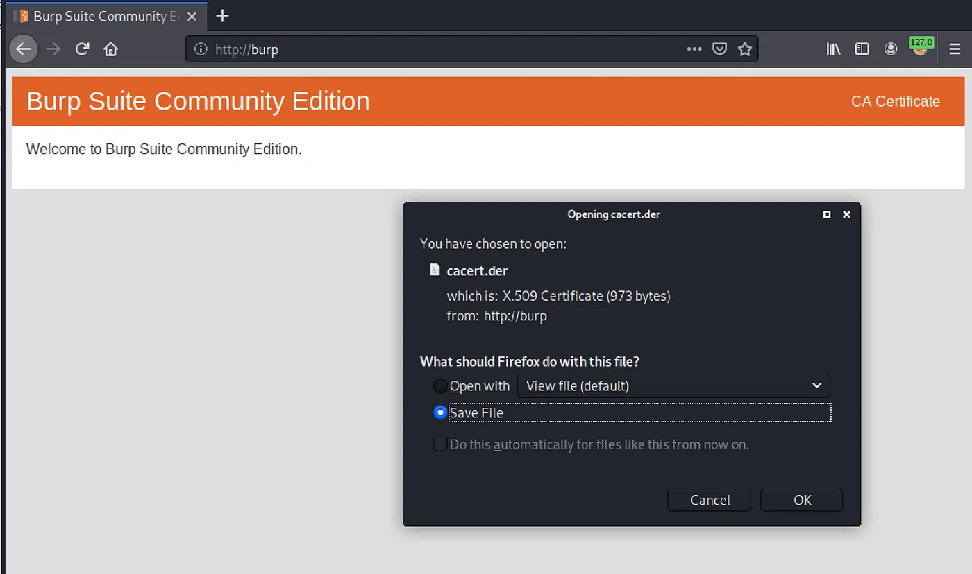 Burn Suite Community Edition.png