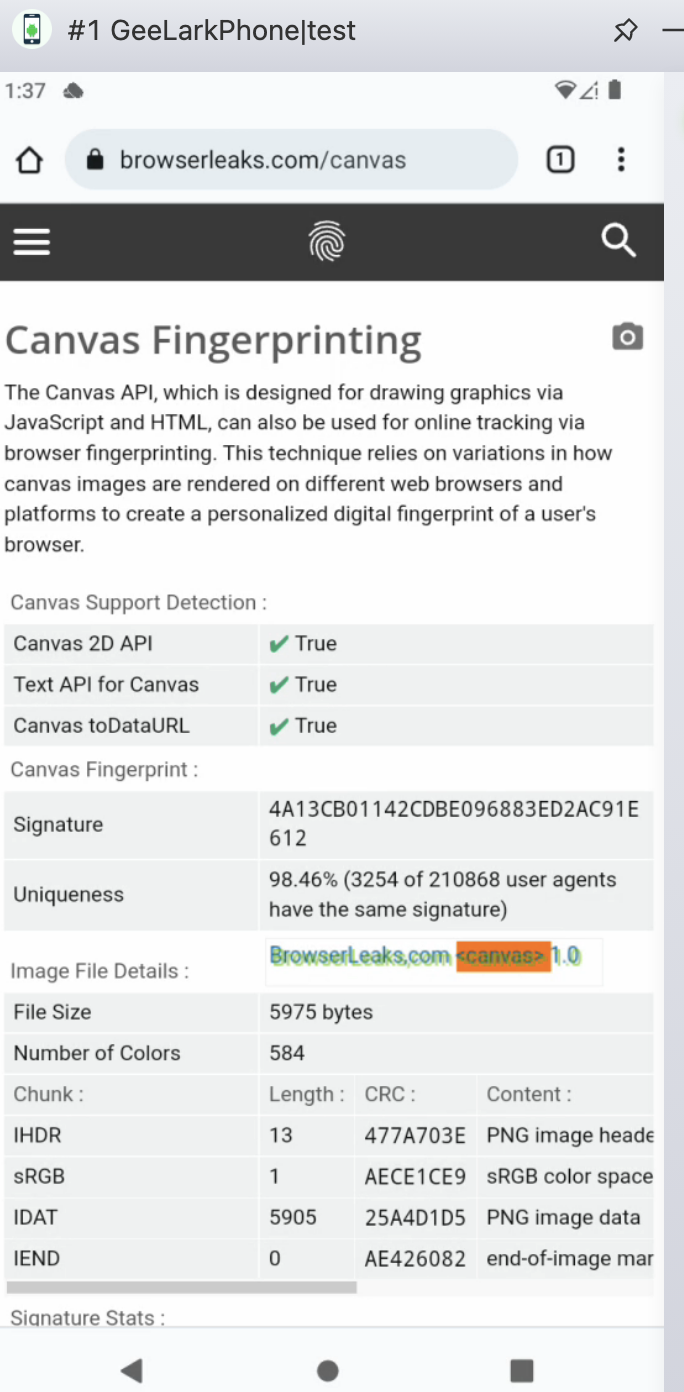 Canvas Fingerprinting.png