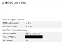 WebRTC Leak Test.png