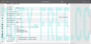 WebRTC leak test.png