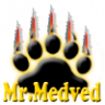 Mr.Medved
