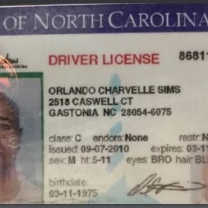 Driver License