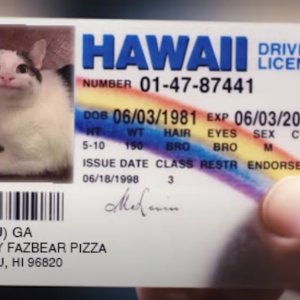 На вериф пайдет